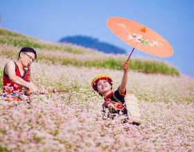 Mùa hoa tam giác mạch Hà Giang diễn ra vào tháng mấy