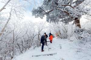 Khám phá vẻ đẹp mùa đông Gangwon Hàn Quốc