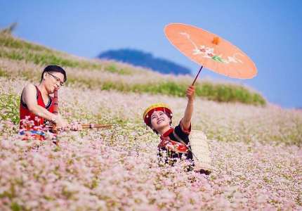 Mùa hoa tam giác mạch Hà Giang diễn ra vào tháng mấy