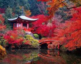 Đi du lịch Nhật Bản mùa lá đỏ