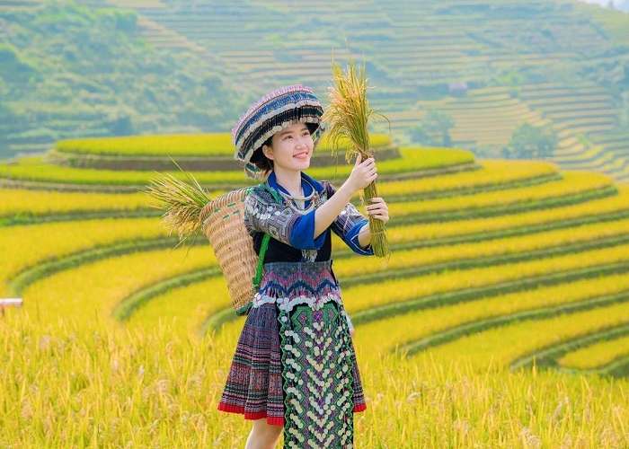 Tour Du Lịch Mù Cang Chải - Trạm Tấu 3 Ngày 2 Đêm Mùa Lúa Chín