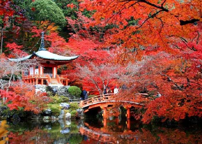 Du Lịch Nhật Bản Mùa Lá Đỏ 7 Ngày 6 Đêm